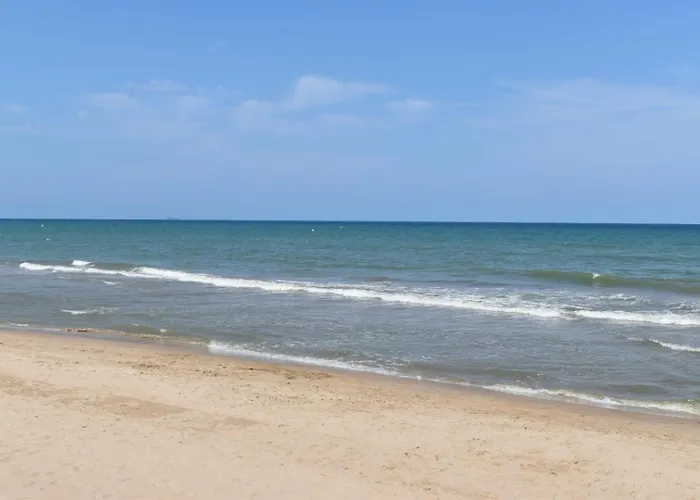 Daire La Terraza De Palmeres *